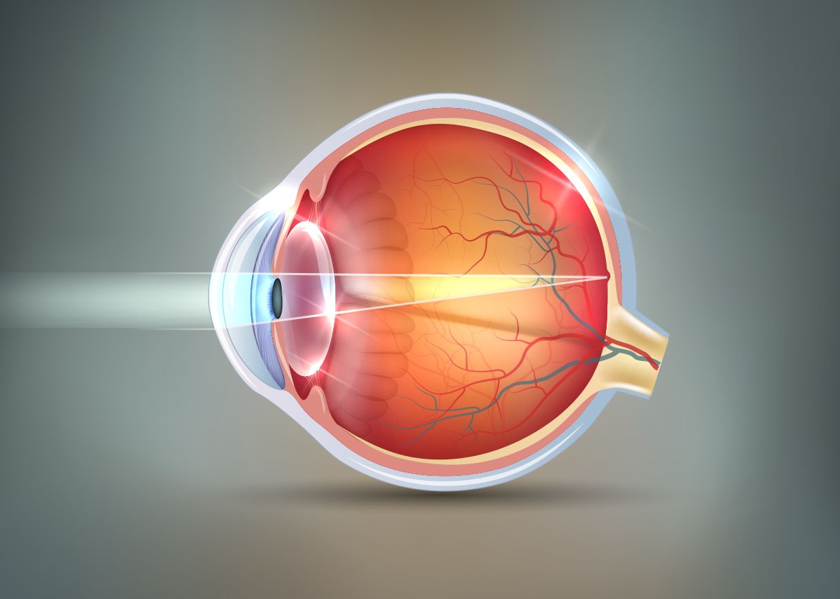 How the Eye Works | Retina Associates Kansas City