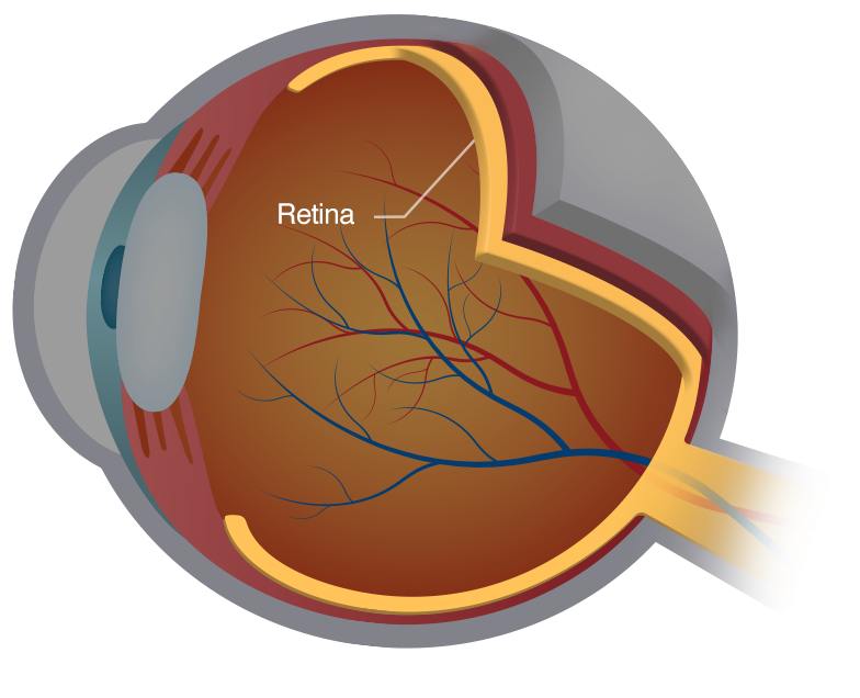 Crystal retinal